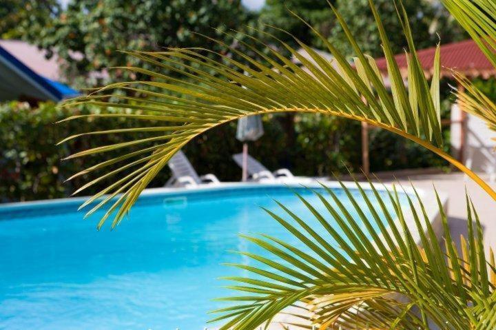 Hotel Le Rotabas Сент-Анн Экстерьер фото